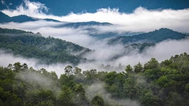 Smoke in the Smoky Mountains
