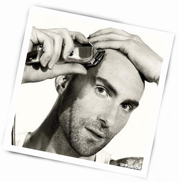 Bald Adam Levine Tweets Confirm Hair Loss Is By Choice
