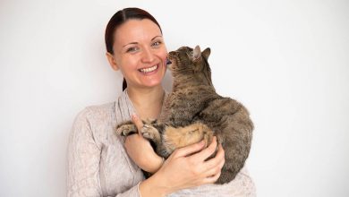 cat licking woman