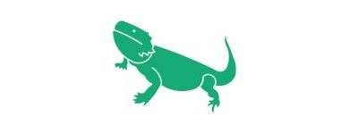 divider-bearded dragon