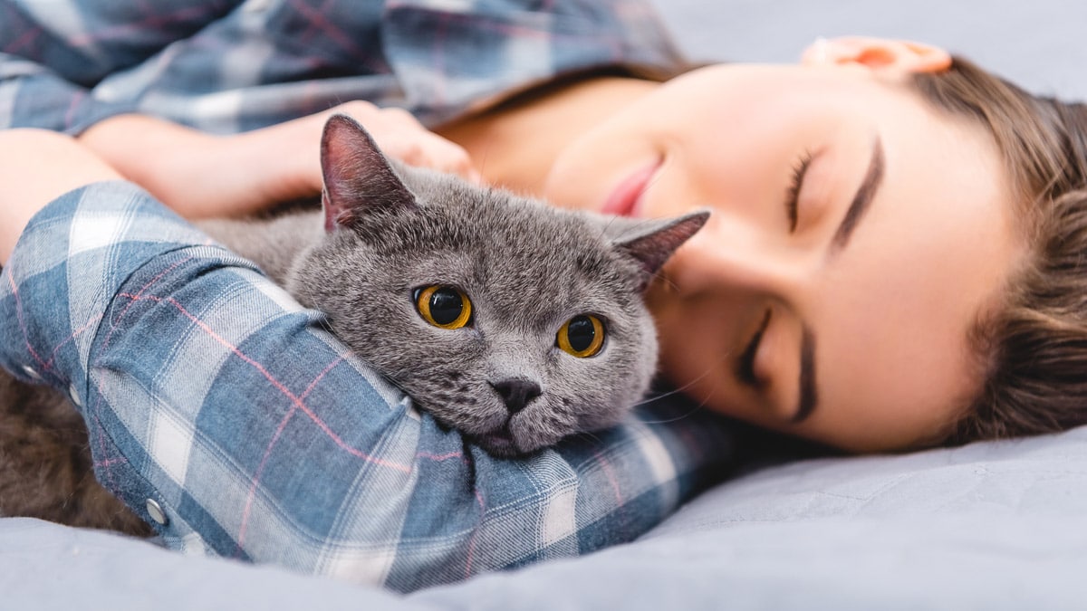 sleeping woman with gray cat in her hand