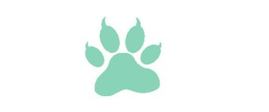 divider-catclaw1
