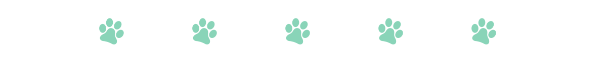 cat paws