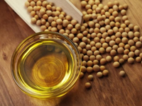 soybean oil