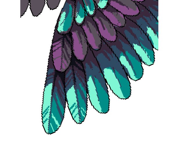Details for the feathers