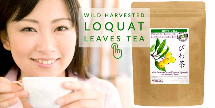 A packet of loquat leaf tea and the woman drinking a cup