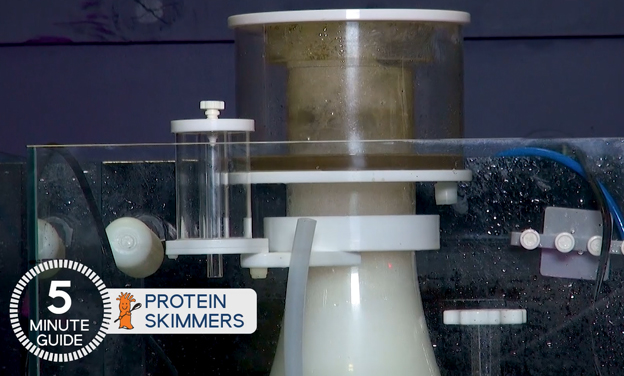 External protein separator