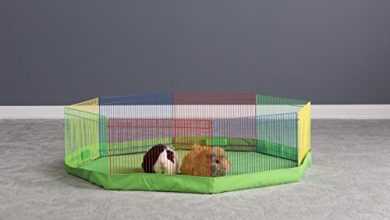 Prevue Pet Products Multi-Color Small Pet Playpen 40090,13-Inch