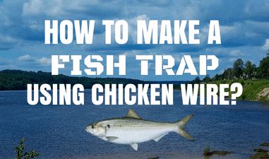 HOW TO MAKE FISH CAKE WITH THE CHICKEN