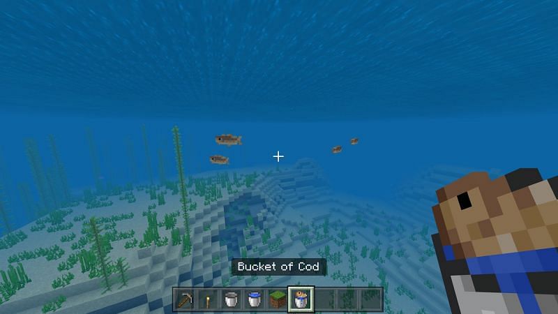 Use a bucket to make a fish tank in Minecraft