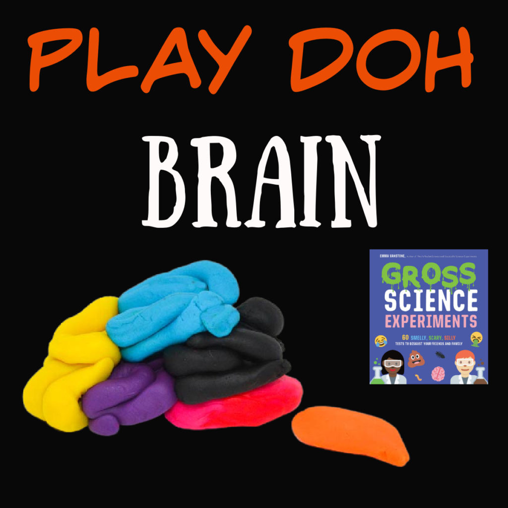 Play doh's brain activity, taken from Gross Science #Scienceforkids #halloweenscience