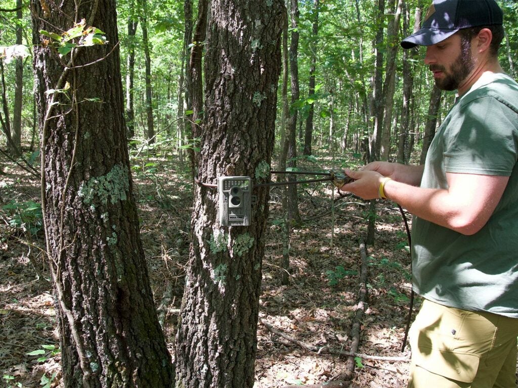 hunter hangs trail camera high up in tree