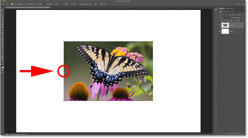 How to scale an image proportionally with Free Transform in Photoshop
