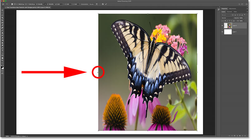 How to scale an image out of proportion with Free Transform in Photoshop