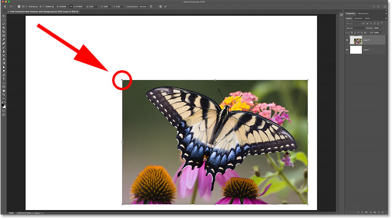 How to scale images proportionally with Free Transform in Photoshop CC 2020