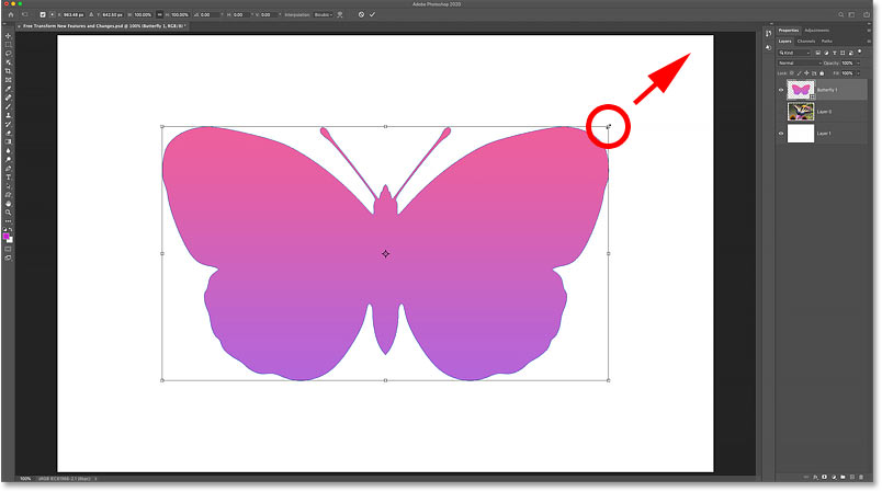 Shape layers are now scaled by default as of Photoshop CC 2020