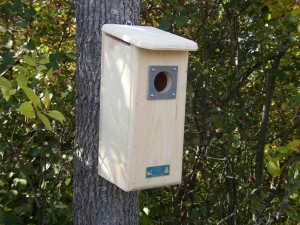 Woodpecker House Woodpecker