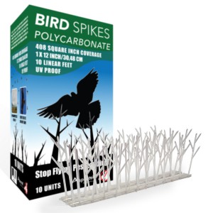 Bird Spikes Woodpecker Deterrent