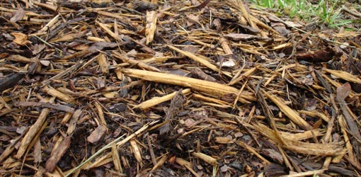 Shredded hardwood mud.