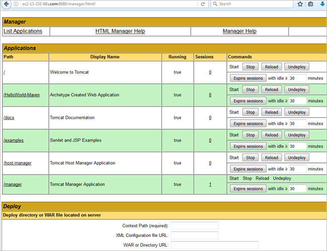 3.application has been deployed and started.