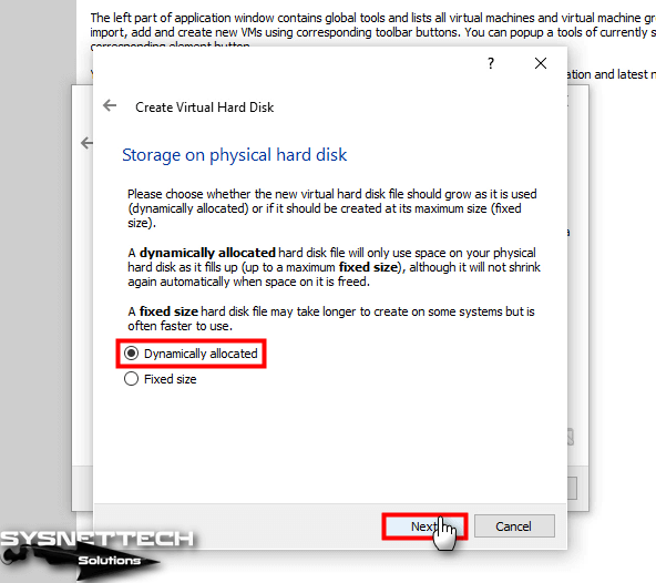 Selecting Dynamically Allocated Virtual Disk Structure