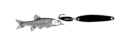 How to fish a small fish for ice fishing (With pictures)