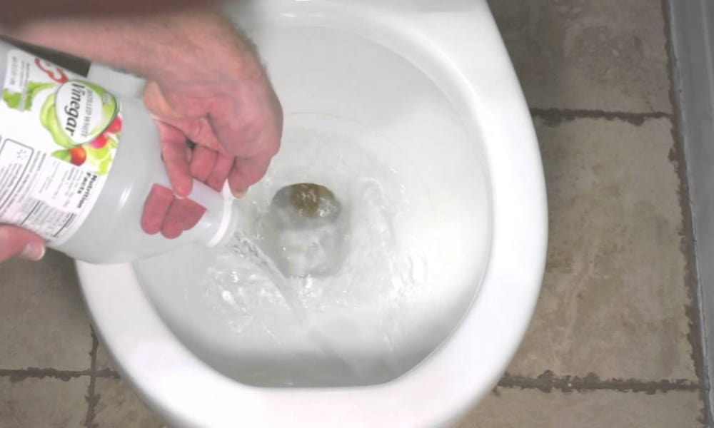 Clean toilet seats with vinegar