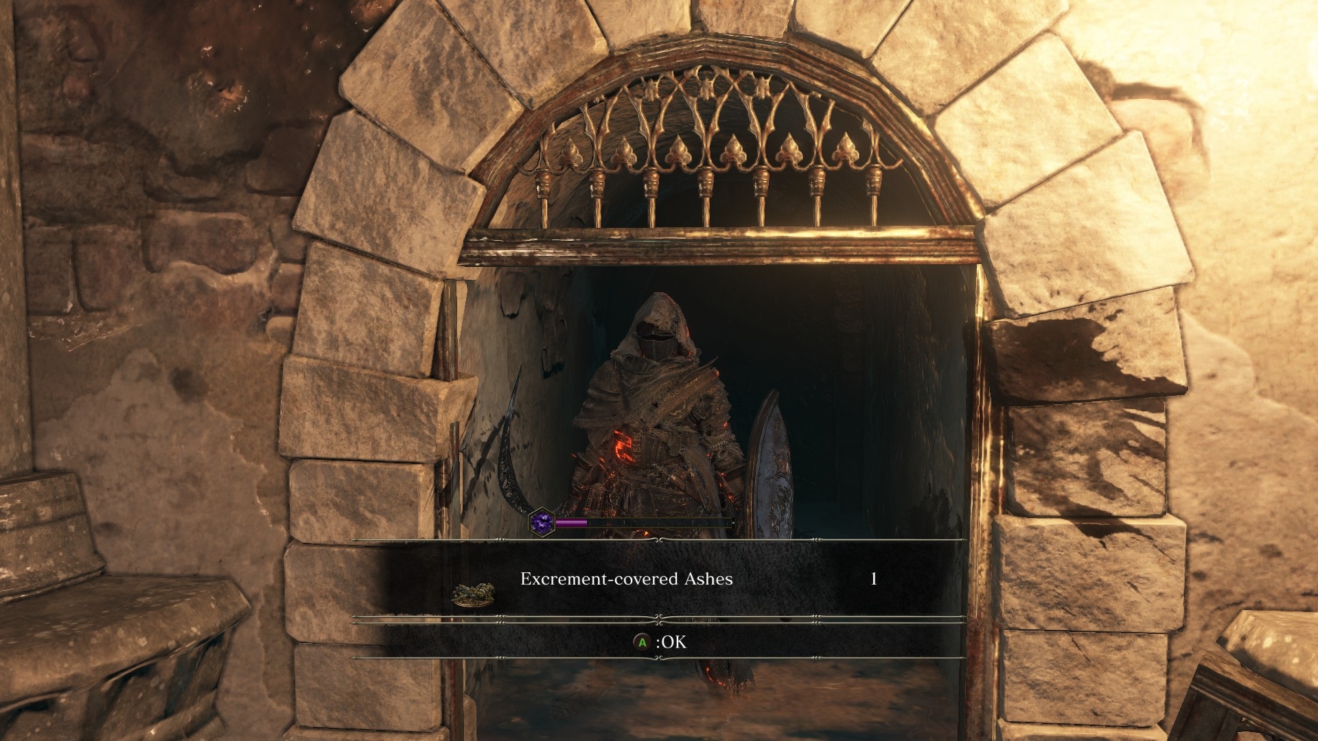 Dark Souls 3 Irithyll Excrement Ashes