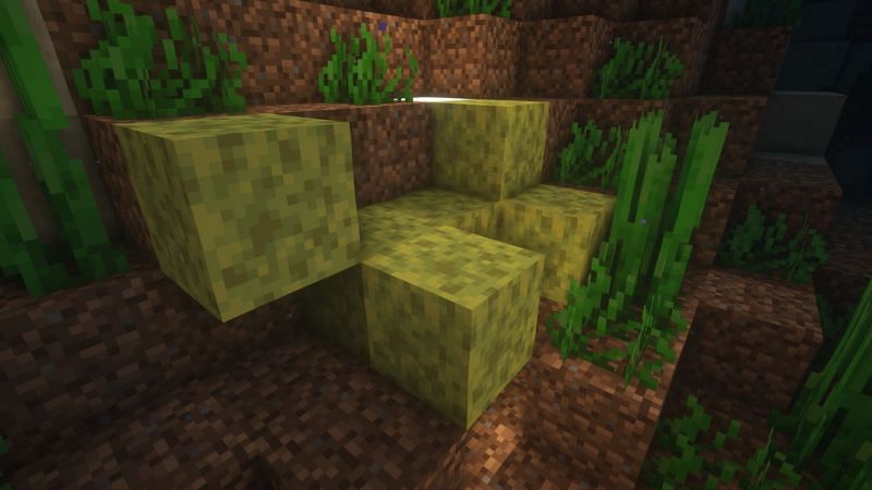 In-game wet sponges (Image via Minecraft)