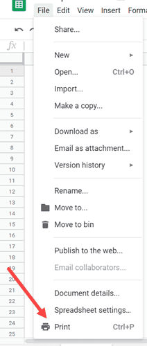 Click Print Options in the File Menu Options