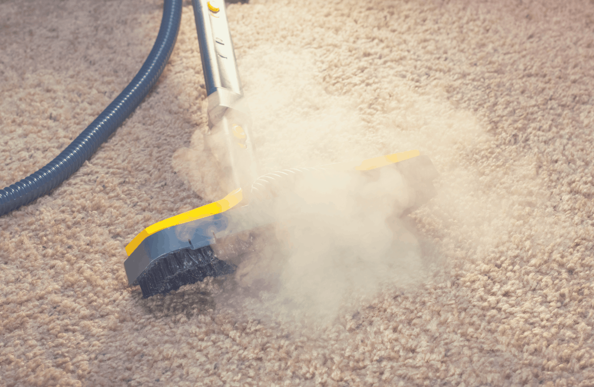 using a blue carpet steamer