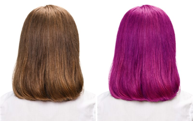 Side by side pictures of purple hair before and after for a snippet on how to remove purple from hair