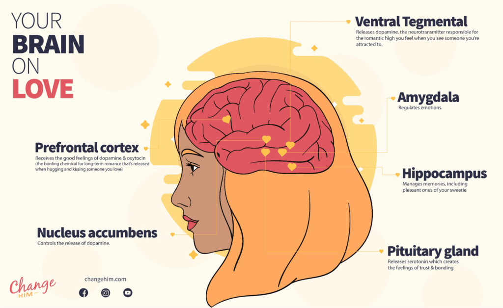 Woman's brain on love