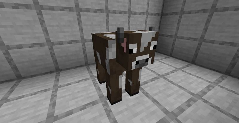 Image via Minecraft