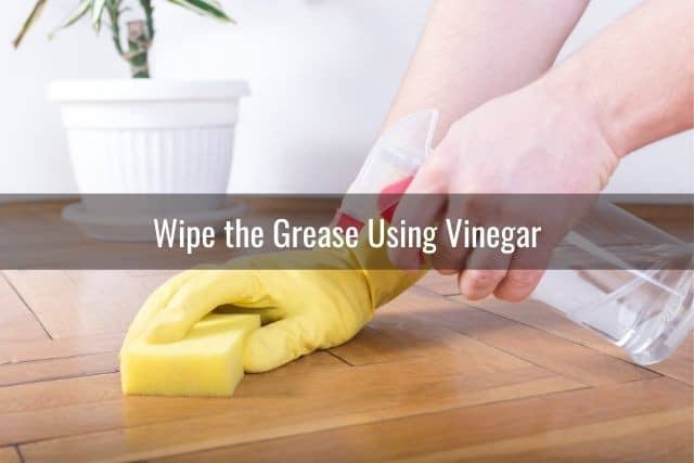 Wipe the area with soapy water