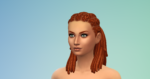 Fitness Guide Sims 4 CAS 3