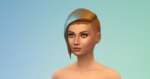 Fitness Guide Sims 4 CAS 4
