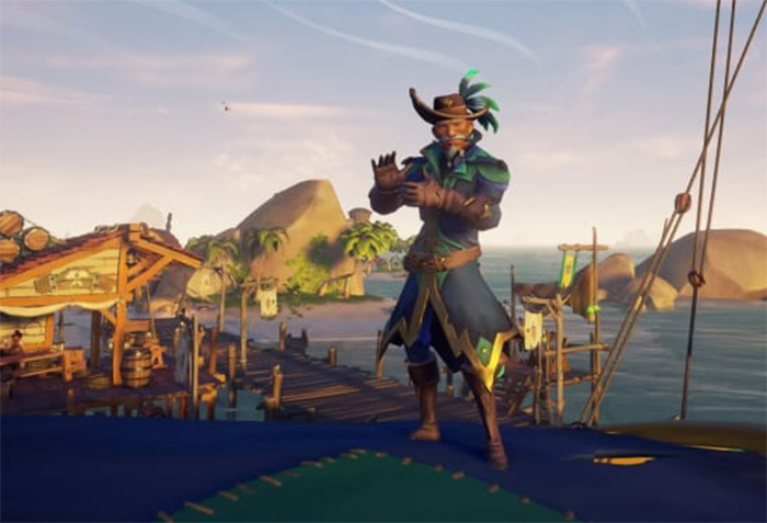 Sea parrot costume of thieves