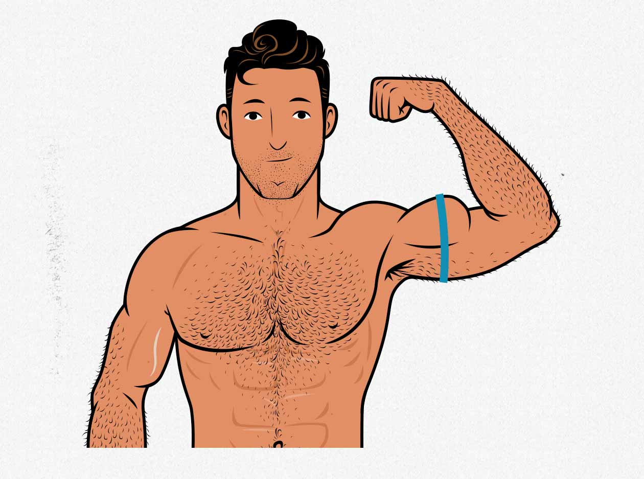 Illustration showing how to measure the size of your biceps.