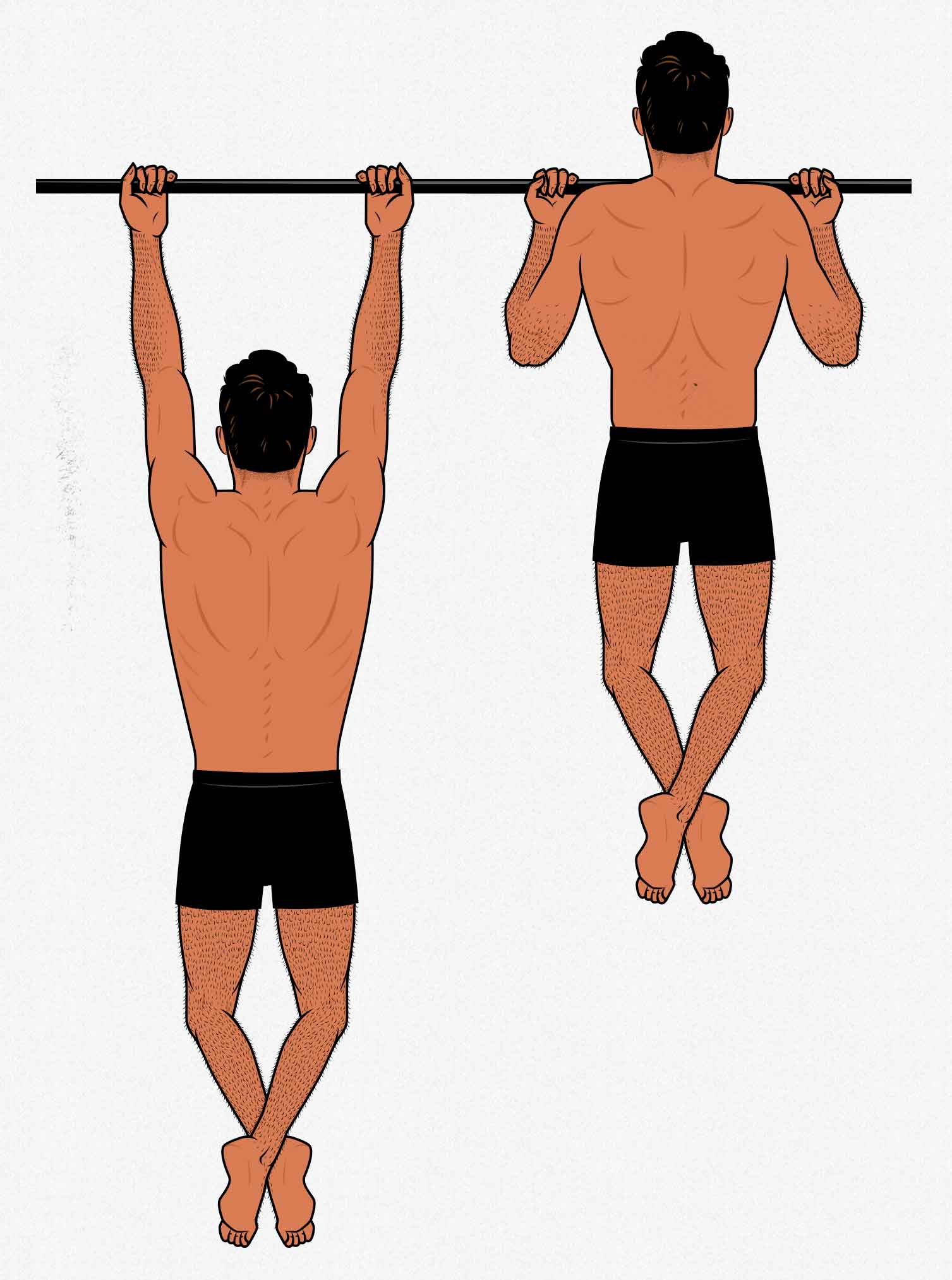 Illustration showing how to do chin-ups to build muscle in the upper back and biceps.
