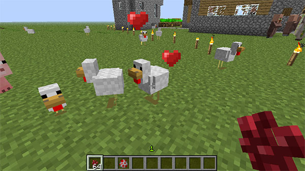 minecraft chicken farming