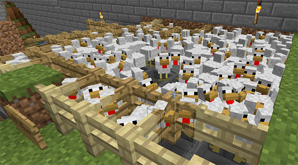 big minecraft chicken farm