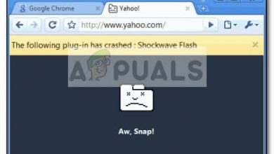 bug crash