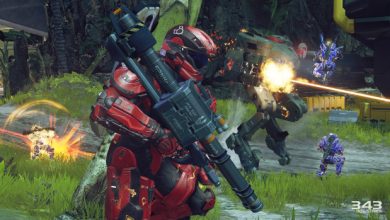 H5-Guardians-Warzone-Assault-Array-SPNKR