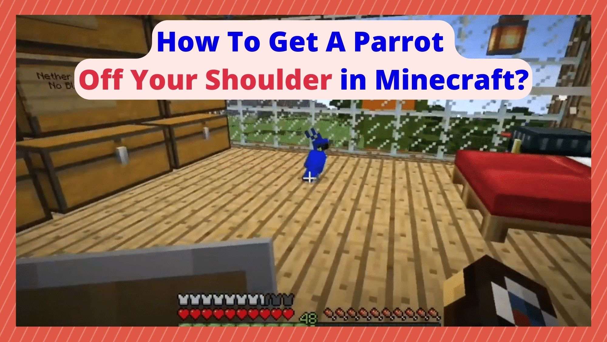 How To Remove Parrot From Shoulder Minecraft How To Get Parrot Off Shoulder Minecraft