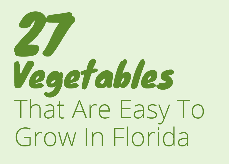 27-florida-vegetable-friendly