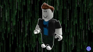 hacking roblox accounts