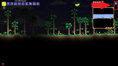 get max mana in terraria