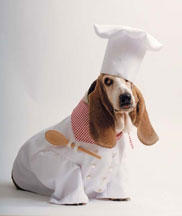 Dog-Costume-Chef-Lander: Pictures of Women's Day Employees, topqa.info