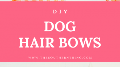 DIY Dog Hair Bows Tutorial